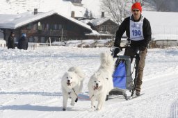 Lenk 2012 SM